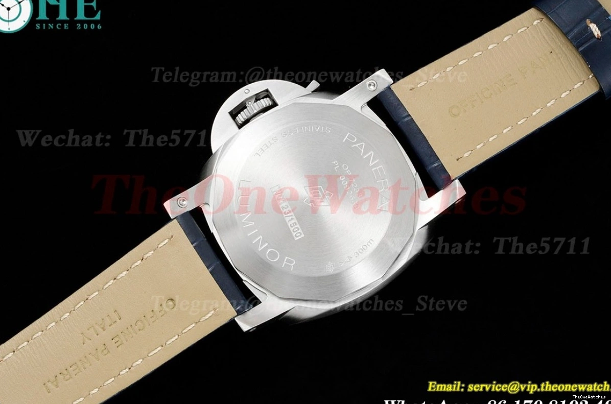 LE A9010 Dial PAM1313 44mm TTF Luminor SS Blue 0120